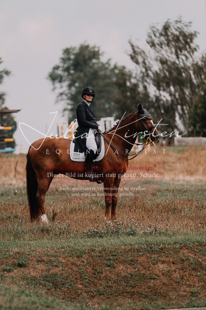 DSC_3717 | Pferde- und Turnierfotografie in Westsachsen. Pferdeportraits, Auftragszeichnungen und intuitive Kunst.