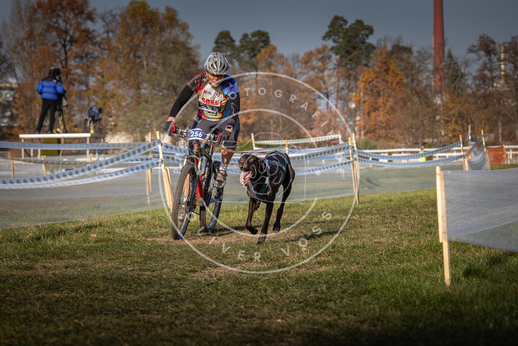 CaniXpix_0L8A6718 | Hundefotografie, Tierfotograf, Pfotenfotografie, Fotoshooting Hund, Hunde Portrait, Hundesport, Hundeportraits, Heideshooting, Hunde, Sportfotograf, Hundefotograf, Turnierhundsport, THS,  - Realisiert mit Pictrs.com