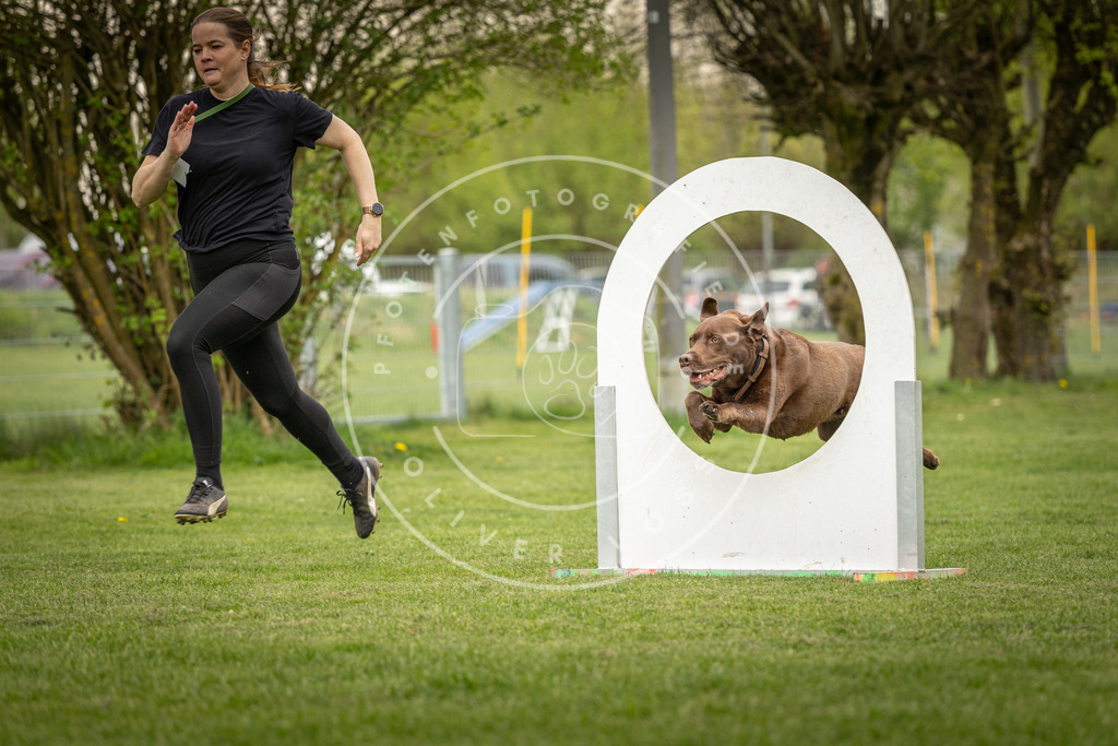 Pfotenfotografie_DV3A1002 | Hundefotografie, Tierfotograf, Pfotenfotografie, Fotoshooting Hund, Hunde Portrait, Hundesport, Hundeportraits, Heideshooting, Hunde, Sportfotograf, Hundefotograf, Turnierhundsport, THS,  - Realisiert mit Pictrs.com