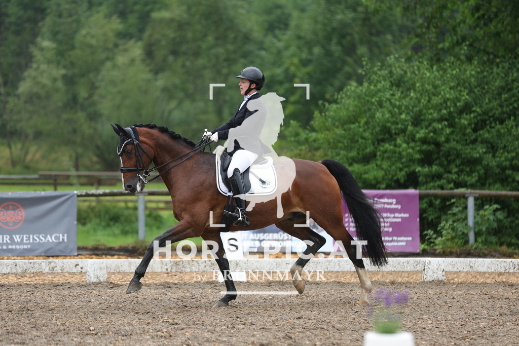 0P6A9157 | Willkommen bei Brunnmayr - Design & Fotografie – Ihrem Spezialisten für Reitturniere und Pferdeveranstaltungen in Oberösterreich, Salzburg und Bayern! Seit über 17 Jahren sind wir leidenschaftlich dabei.