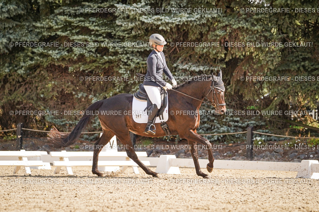 DSC00424 | Pferdegrafie