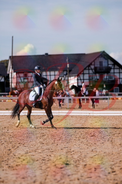 2026_10_03_Siefer-Hof_125731_Z81_45796720 | Professionelle Reitsport-, Turnier- und Eventfotografie von Robert Broda. Galerien mit ausgewählten und bearbeiteten Bildern direkt online ansehen und bestellen.