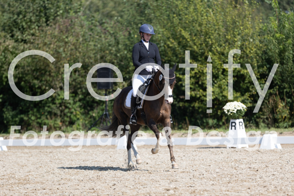 IMG_4954 | Creatify Fotografie