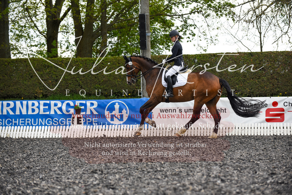 20230513_JK-Röhrsdorf-17-019 | Pferde- und Turnierfotografie in Westsachsen. Pferdeportraits, Auftragszeichnungen und intuitive Kunst.