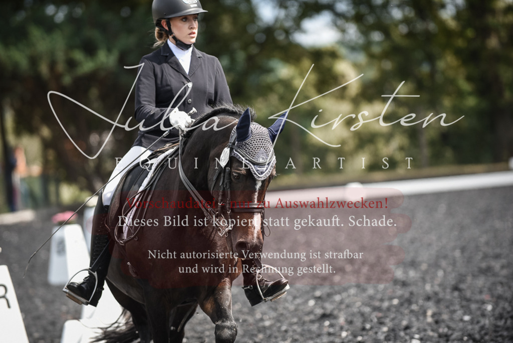 DSC_5099 | Pferde- und Turnierfotografie in Westsachsen. Pferdeportraits, Auftragszeichnungen und intuitive Kunst.