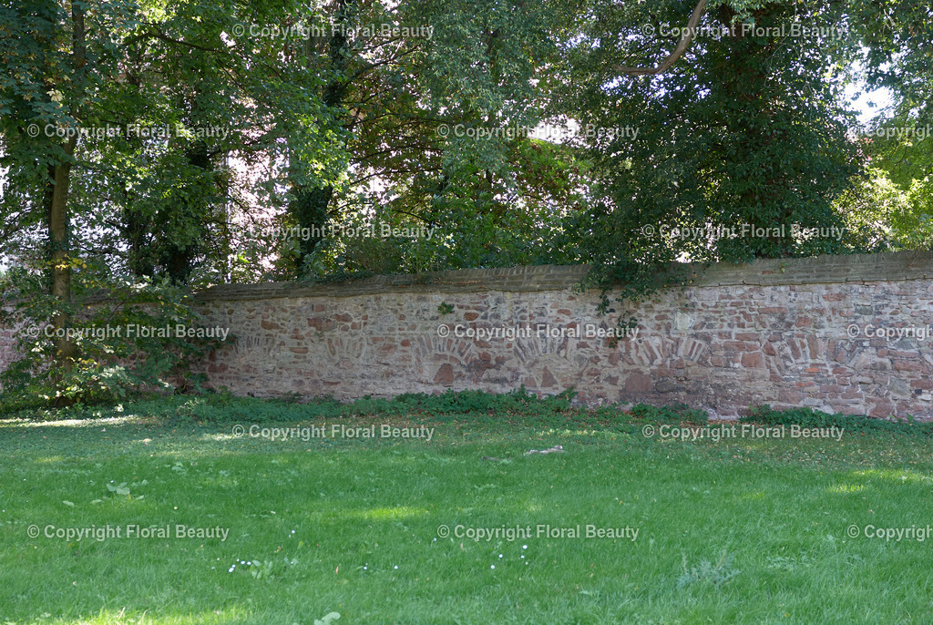 Alte Mauer | alte Mauer auf Wiese mit Bäumen - Realisiert mit Pictrs.com