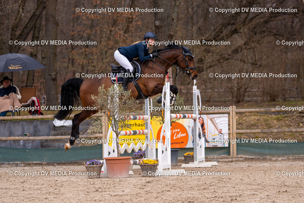 Kranichstein Tag 2-2073 | dv-media-shop - Realisiert mit Pictrs.com