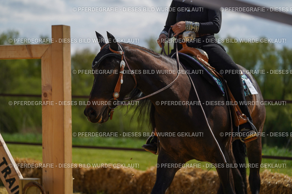 DSC05249 | Pferdegrafie