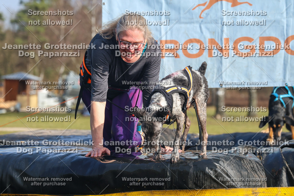 Dog Paparazzi - Strongdog North Mrz26-2873 | Dog Paparazzi Jeanette Grottendiek Fotografie & Videografie - Realisiert mit Pictrs.com