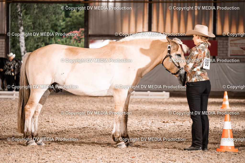 ZH200172 | dv-media-shop - Realisiert mit Pictrs.com