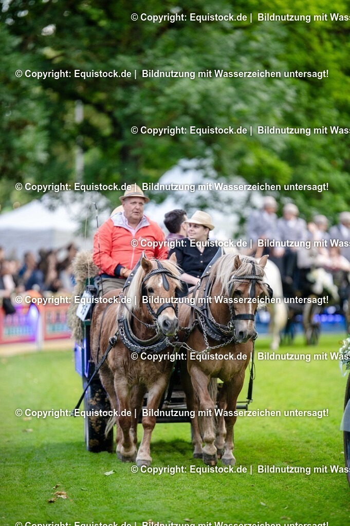 20250606_Lange-Pferdenacht_0203 | Foto: Thomas Hartig