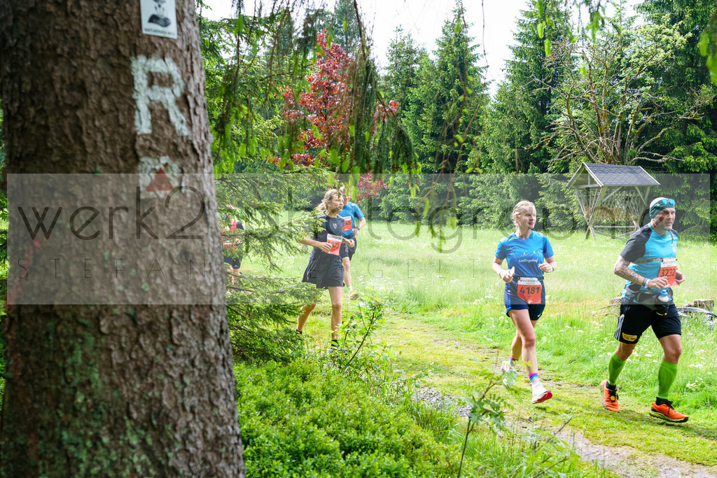 Rennsteiglauf Marathon 2024 | 25. Mai 2024 - 42,2 km von Neuhaus nach Schmiedefeld