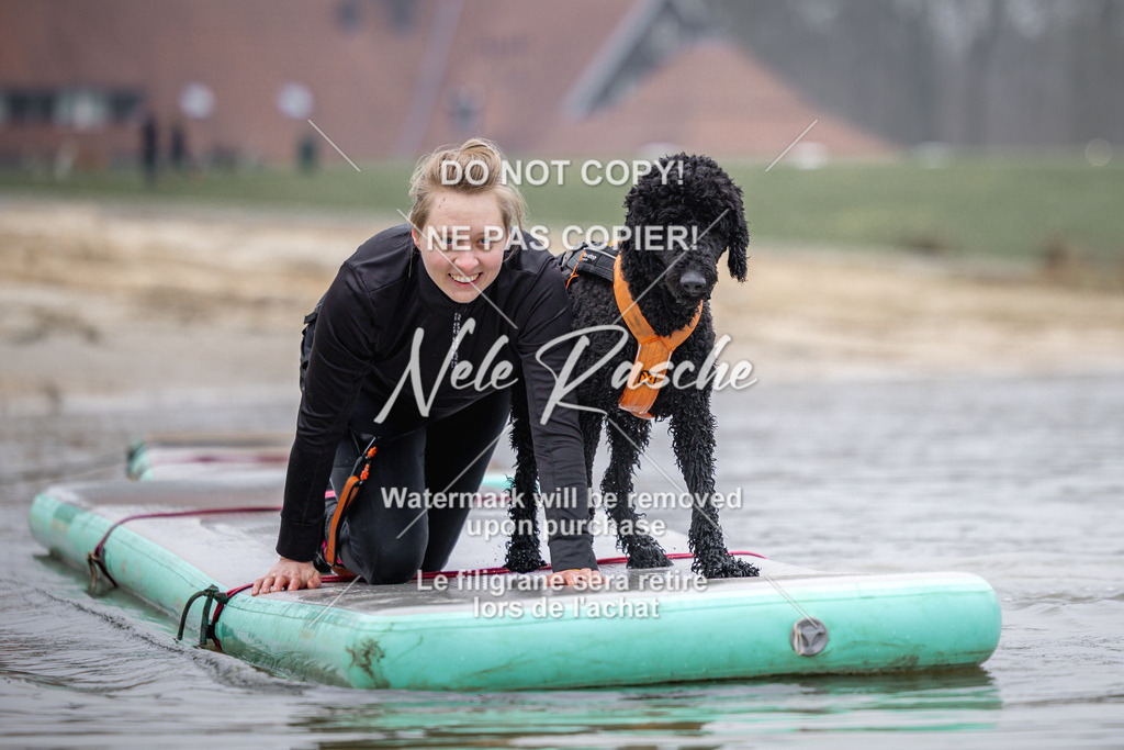 nelerasche_Hulsbeek_Sa0845-1030_141 | nelerasche