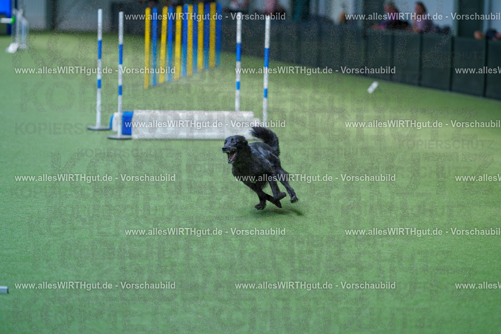 @allesWIRTHgut_Tierfotografie - www.allesWIRTHgut.de - 2604261406-7R503439 | Professionelle Tierfotografie in Mönchengladbach von Daniel Wirth (allesWIRTHgut). Liebevolle & natürliche Bilder von Hunden & Katzen für unvergessliche Erinnerungen.
