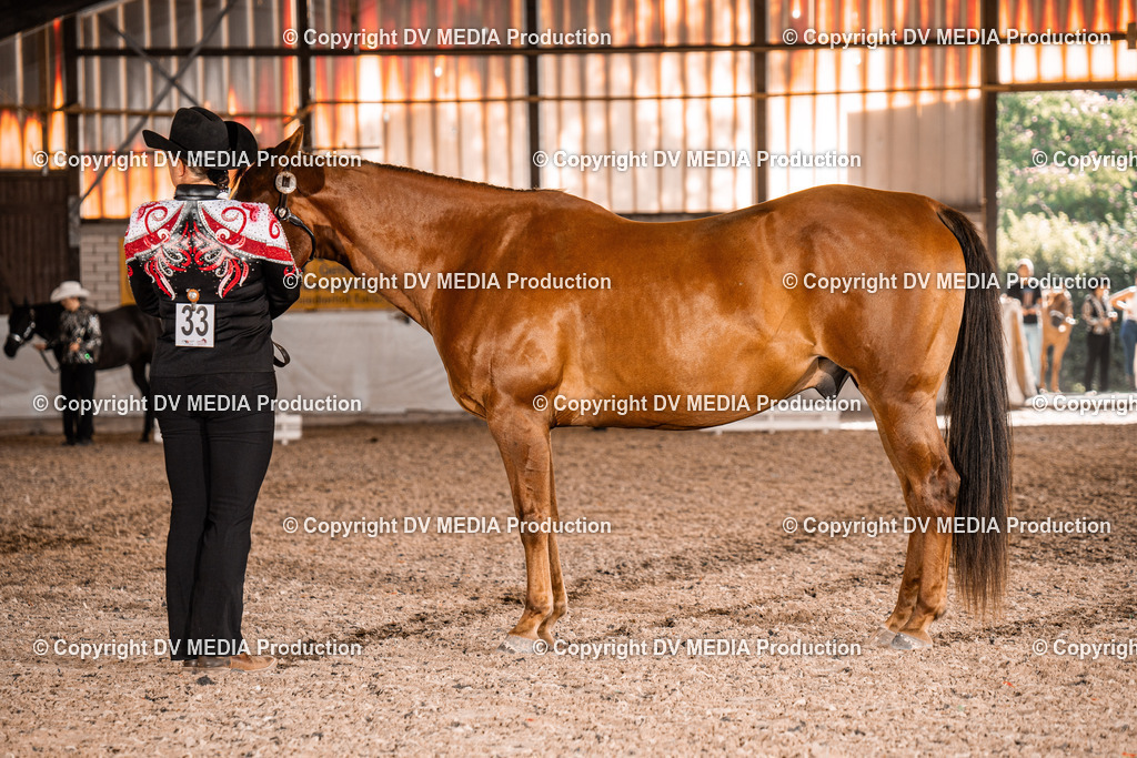 ZH100111 | dv-media-shop - Realisiert mit Pictrs.com