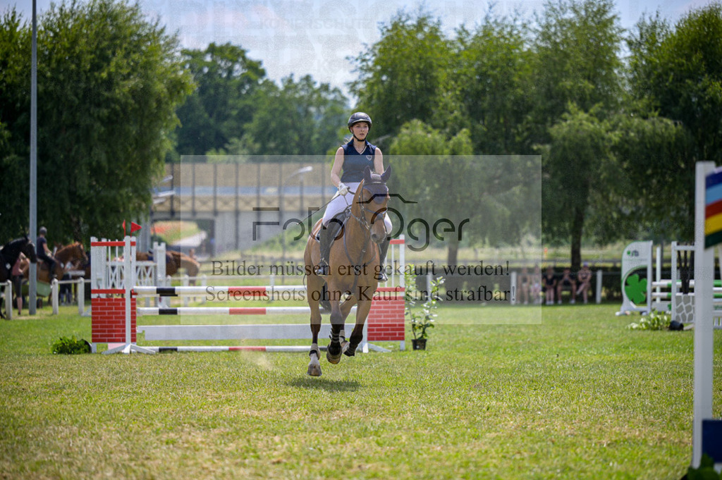 Reitturnier Voxtrup | Entdecke hochwertige Reitturnierfotos von Foto Oger. Professionell, emotional und authentisch – jetzt Lieblingsmomente im Shop bestellen.Deutschlandweite Turnierfotografie. - Realisiert mit Pictrs.com