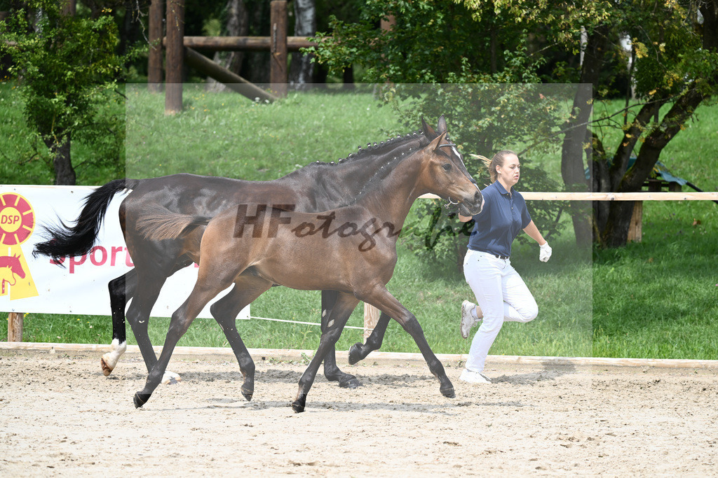 Kat-Nr. 5 HF Morricone I_Schwarz GbR_25230581 | hf-fotografie - Realisiert mit Pictrs.com