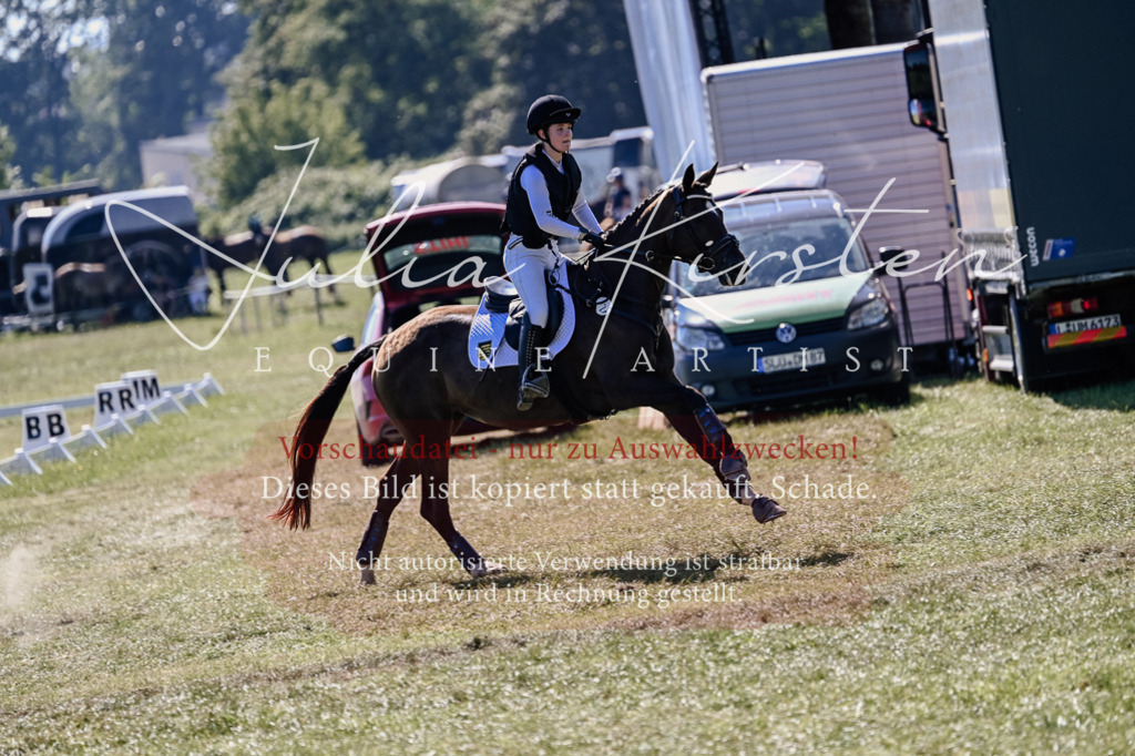 DSC_2731 | Pferde- und Turnierfotografie in Westsachsen. Pferdeportraits, Auftragszeichnungen und intuitive Kunst.