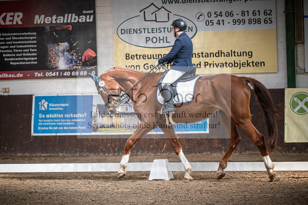 DOS_0368 | Entdecke hochwertige Reitturnierfotos von Foto Oger. Professionell, emotional und authentisch – jetzt Lieblingsmomente im Shop bestellen.Deutschlandweite Turnierfotografie. - Realisiert mit Pictrs.com