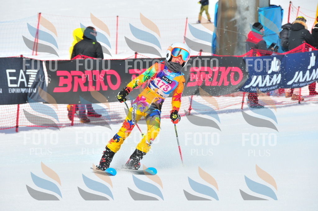 DSC_5289 | holidayphoto