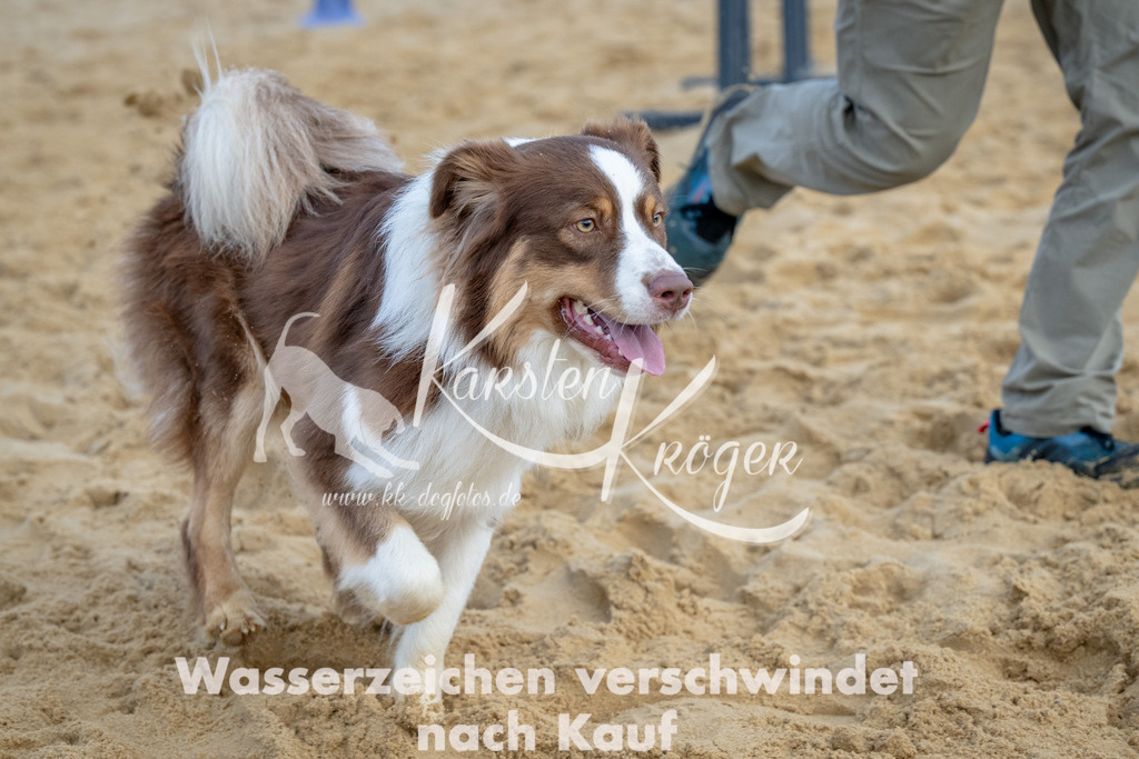 0924_ZZ92375 | kk-dogfotos