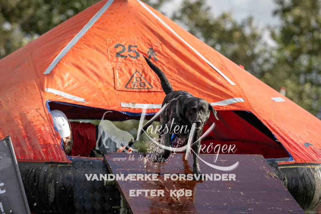 1424-94126 | kk-dogfotos