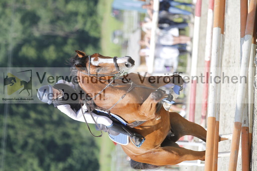 _MG_1806 | equestrian-live-com