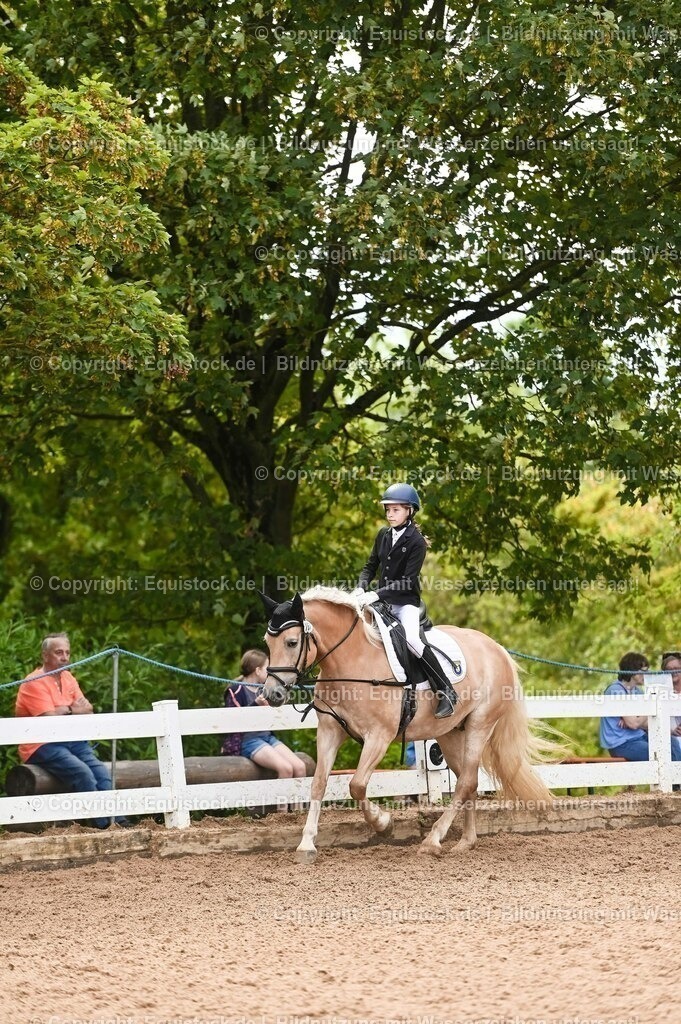20230716_10-2_Reiter-WB Schritt - Trab - Galopp_0047 | equistock