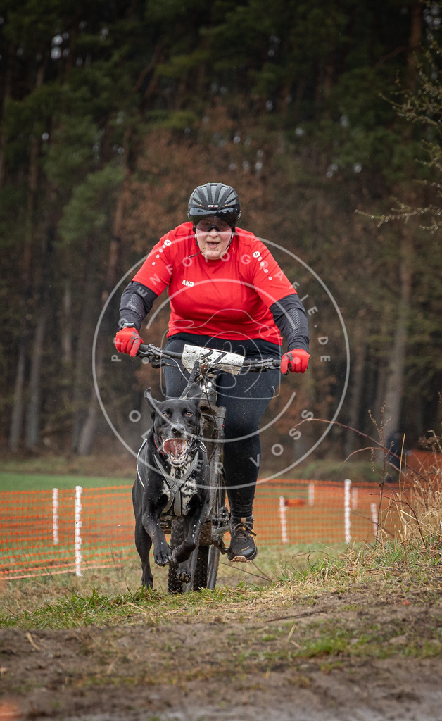 0L8A8867 | Hundefotografie, Tierfotograf, Pfotenfotografie, Fotoshooting Hund, Hunde Portrait, Hundesport, Hundeportraits, Heideshooting, Hunde, Sportfotograf, Hundefotograf, Turnierhundsport, THS,  - Realisiert mit Pictrs.com