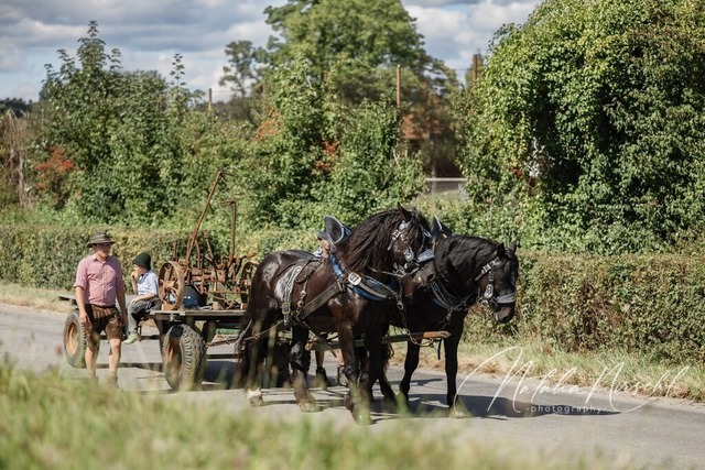 7V6A1607 | natalia-nirschl-photography