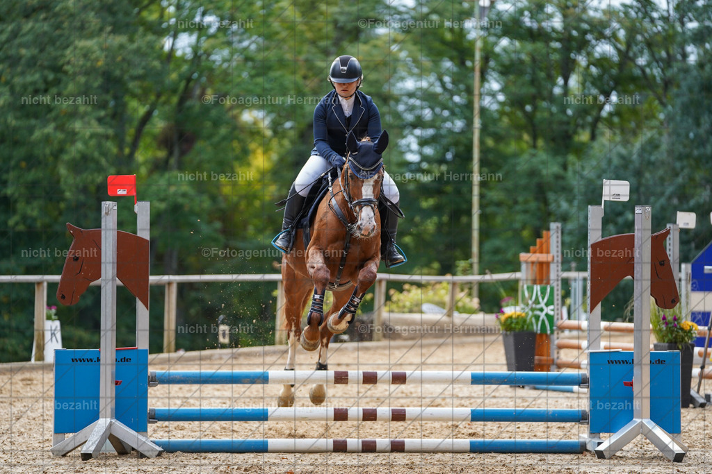 20231008-SN_01054 | Professionelle Turnier- und Reitsportfotografie - mit dem Finger am Auslöser. Pferdebilder aus dem Reitsport von den Turnierfotografen  Bayern , Pferdefotograf Bayern, Pferdeshooting Turnierbilder, Hochzeitsfotograf, Eventfotograf, Hochzeitsbilder