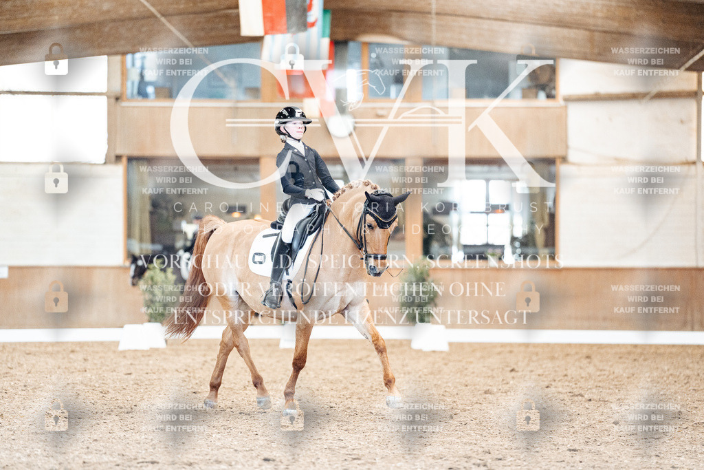 CK909651 | Turnierfotografie Pferdefotografie Trier Rheinland-Pfalz Pferdesport Reitsport Tierfotografie Sportfotografie Pferdevideo Pferdevideografie Equestrianvideography equestrianphotography  - Realisiert mit Pictrs.com