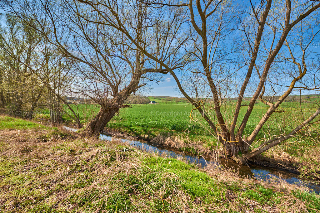 Der Elsterfloßgraben zwischen Ahlendorf und Trebnitz 08 | Bedeutsame Landschaften Deutschlands - Realisiert mit Pictrs.com