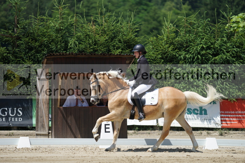 DSC03515 | equestrian-live-com