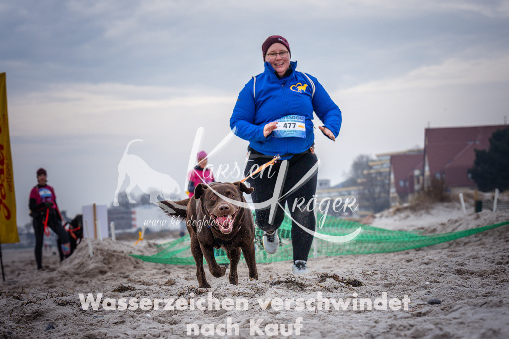 1216_ZZ93150 | kk-dogfotos