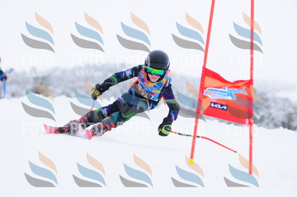 C2944 | holidayphoto