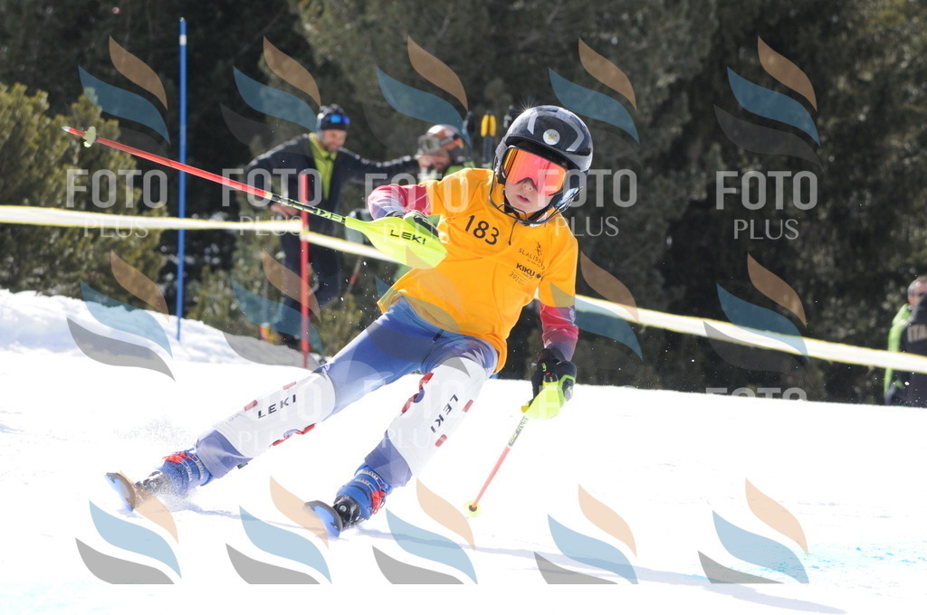 C7452 | holidayphoto