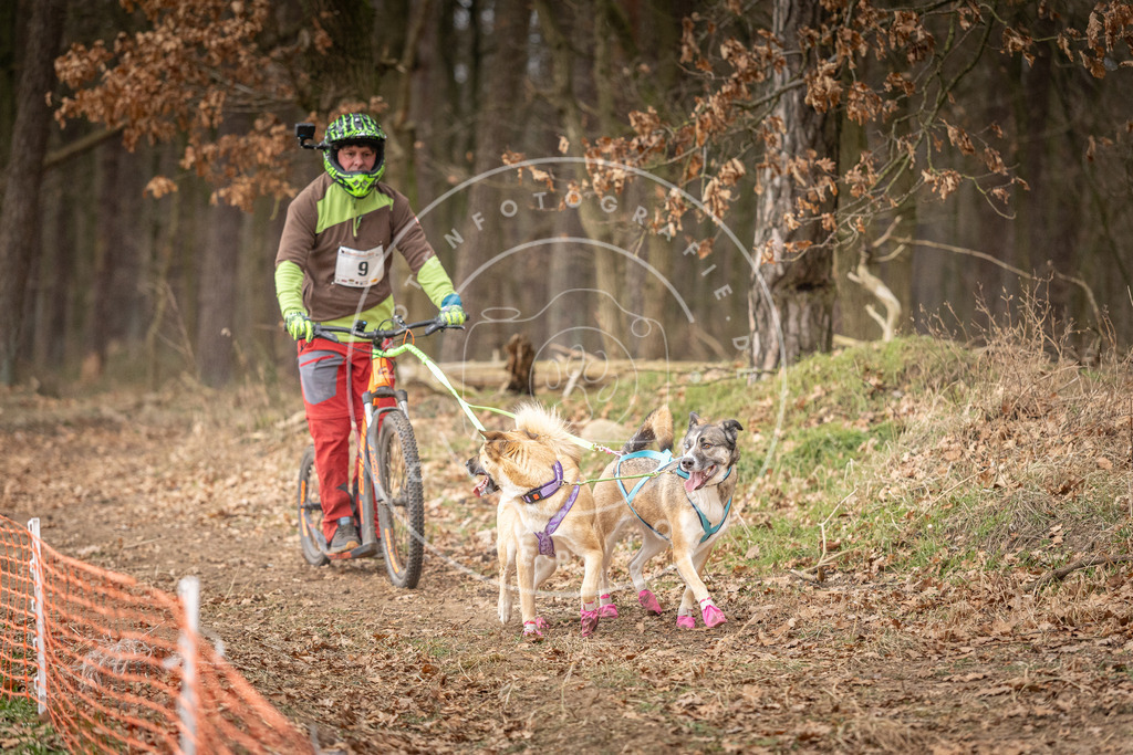 Pfotenfotografie_DV3A2330 | Hundefotografie, Tierfotograf, Pfotenfotografie, Fotoshooting Hund, Hunde Portrait, Hundesport, Hundeportraits, Heideshooting, Hunde, Sportfotograf, Hundefotograf, Turnierhundsport, THS,  - Realisiert mit Pictrs.com