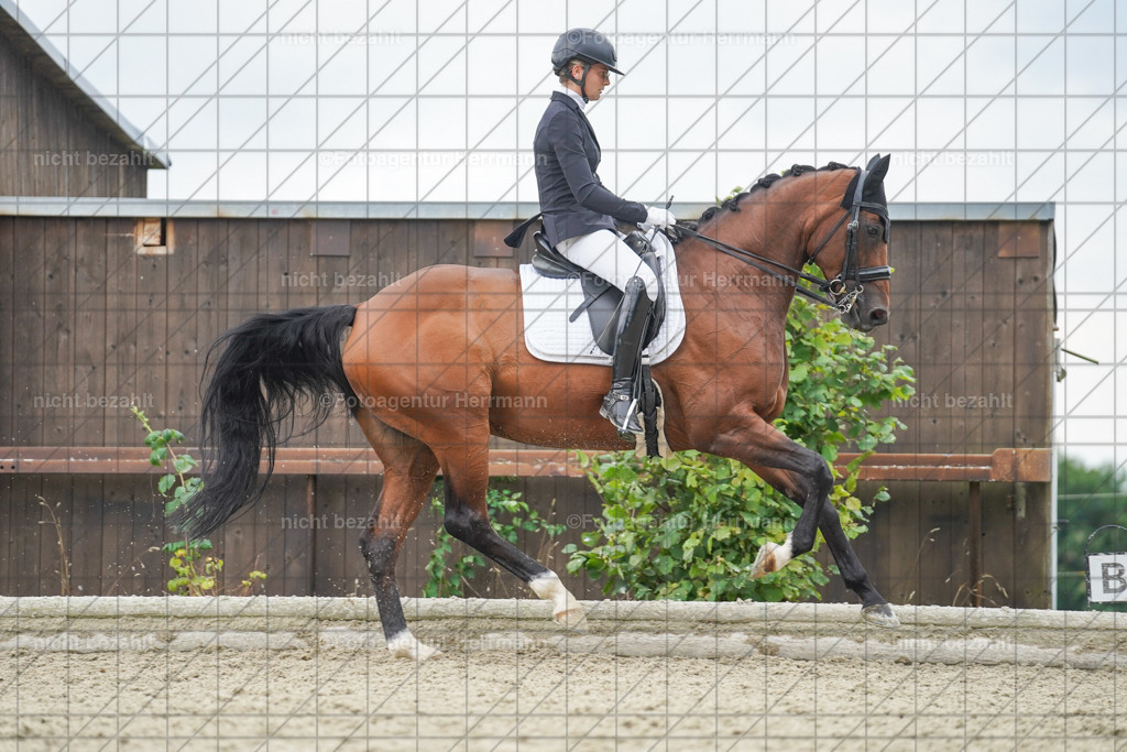 20230826-FAH06234 | Forstinning, 2023, Dressurturnier, Turniersportbilder, Turnierfotografen Bayern, Fotoagentur Herrmann, Reitsportfotografie, Turnierbilder