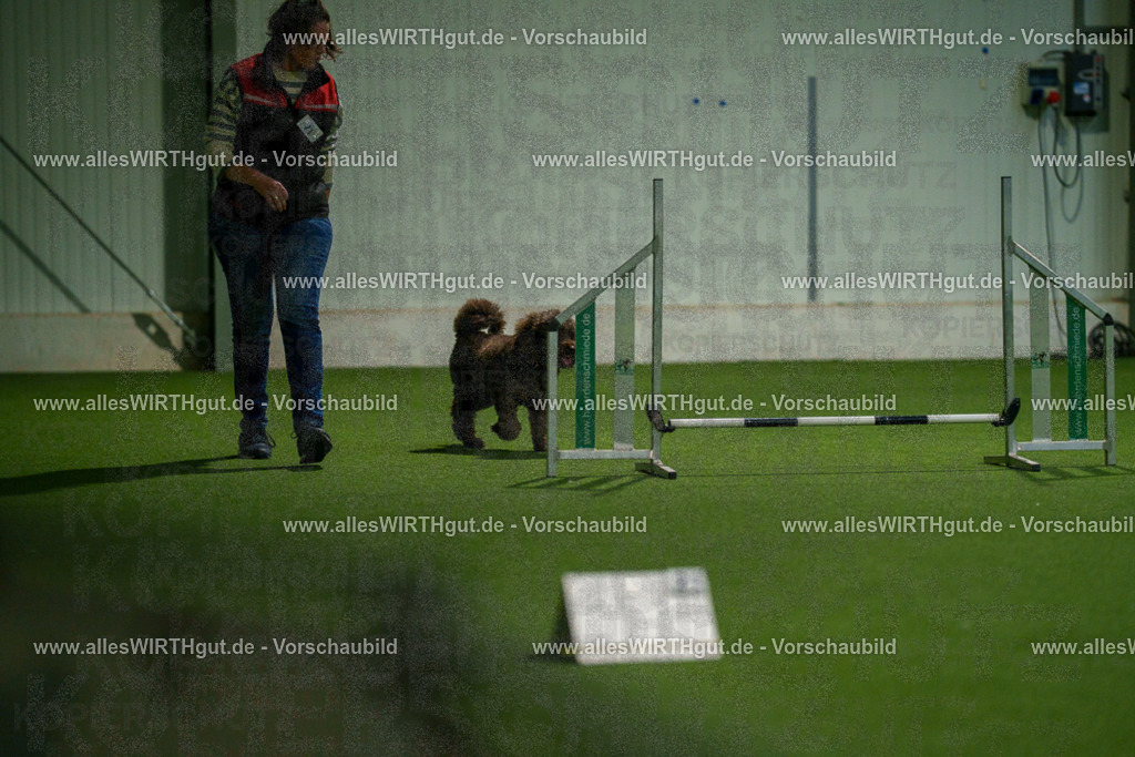 7R508373 | Professionelle Tierfotografie in Mönchengladbach von Daniel Wirth (allesWIRTHgut). Liebevolle & natürliche Bilder von Hunden & Katzen für unvergessliche Erinnerungen.