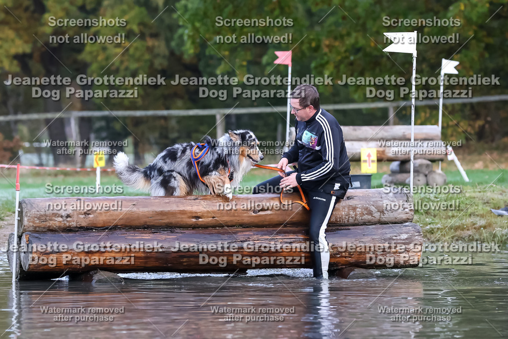 Dog Paparazzi - Strongdog 10-25-6328 | Dog Paparazzi Jeanette Grottendiek Fotografie & Videografie - Realisiert mit Pictrs.com