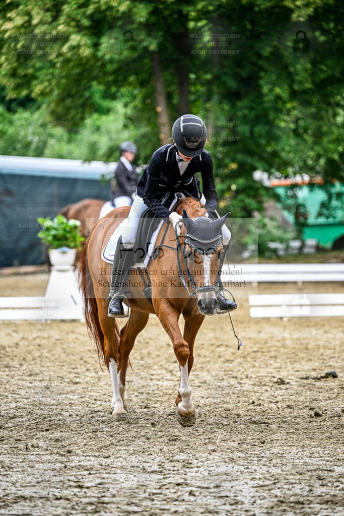Bissendorfer Reitertage | Entdecke hochwertige Reitturnierfotos von Foto Oger. Professionell, emotional und authentisch – jetzt Lieblingsmomente im Shop bestellen. - Realisiert mit Pictrs.com