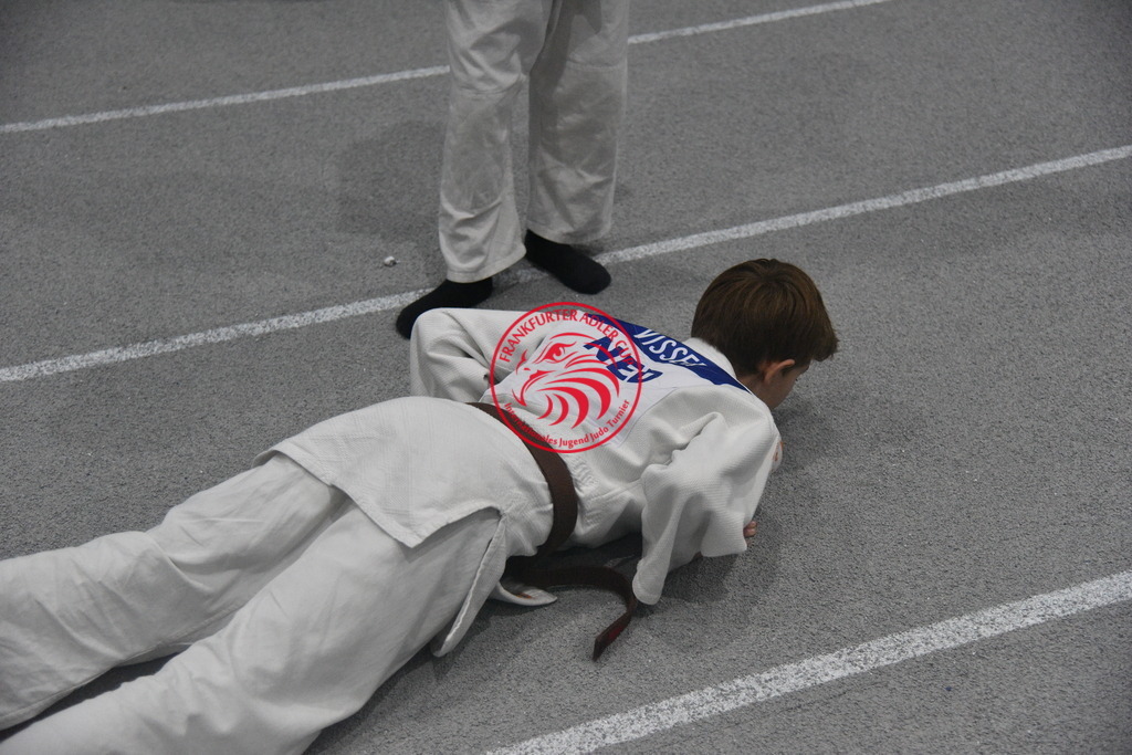 PJL_6897 | Fotos vom Adler Cup - Pictures from Adler Cup

Hier findet Ihr alle Eindrücke und großen Momente der Adler Cup Wochenenden. Here you will find all impressions and great moments of the Adler Cup weekends. - Realisiert mit Pictrs.com