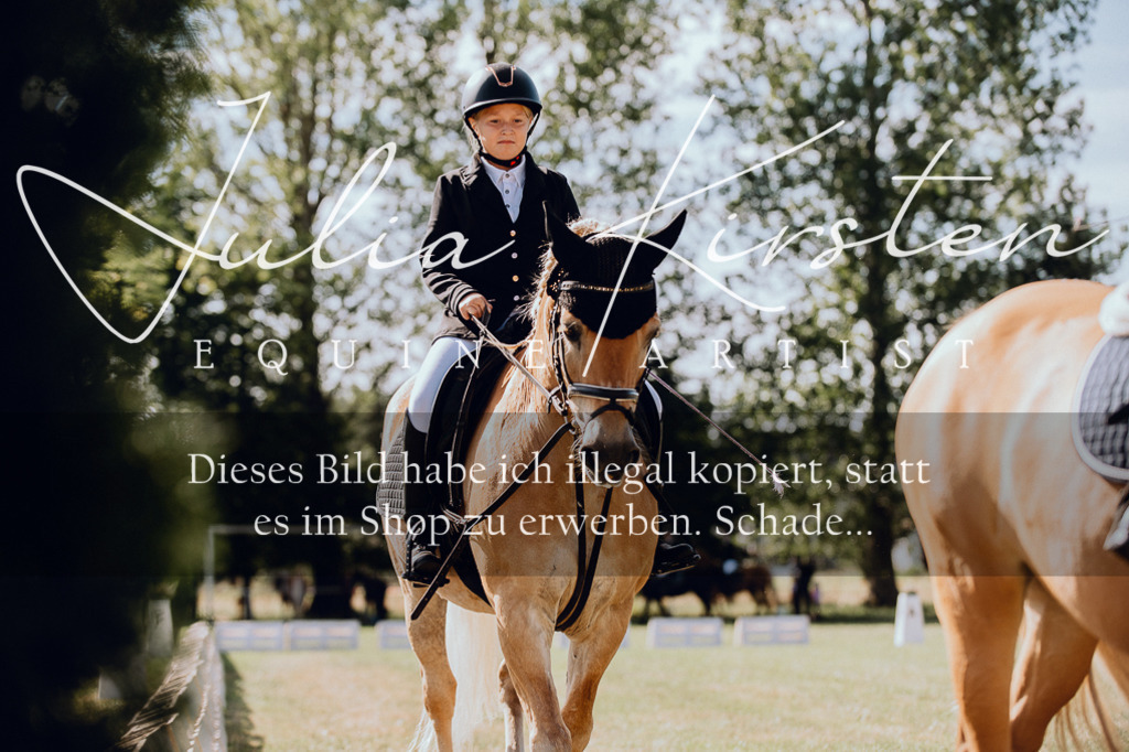 DSC_7128 | Pferde- und Turnierfotografie in Westsachsen. Pferdeportraits, Auftragszeichnungen und intuitive Kunst.