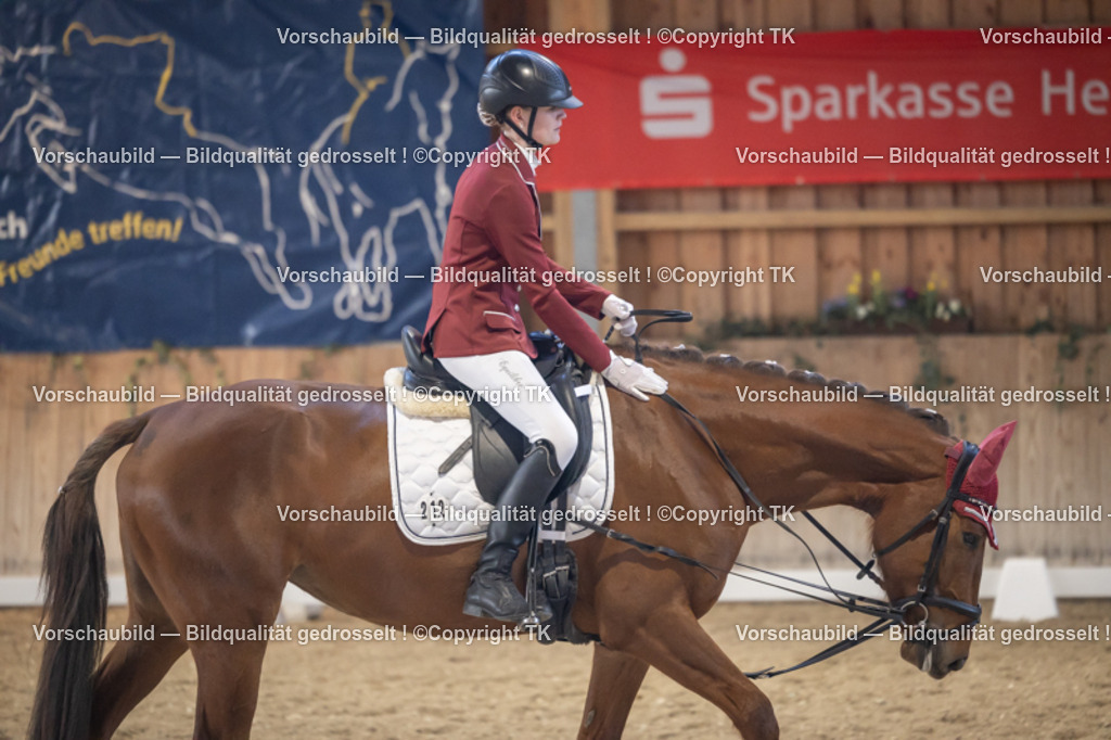 _D5A2512 | Emotionale Pferde- & People-Fotografie rund um Heidelberg, Leimen & Umgebung. Natürliche Fotos von Pferd, Mensch & Familie. Jetzt Termin sichern!