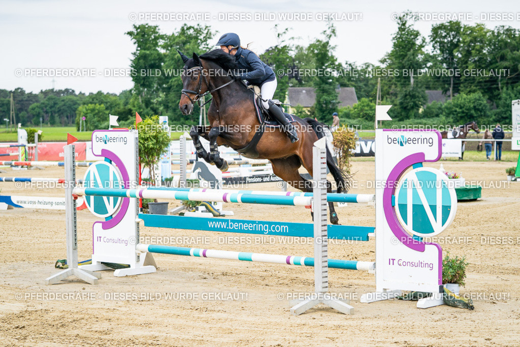 DSC05414 | Pferdegrafie