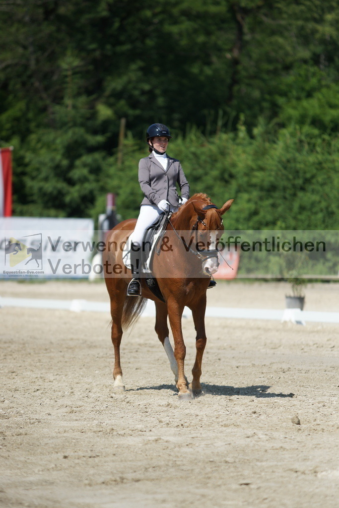 DSC01598 | equestrian-live-com