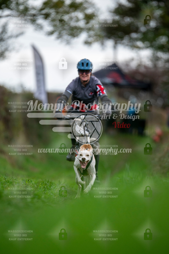 TSB_2023_E8_Bike-61 | PayLife