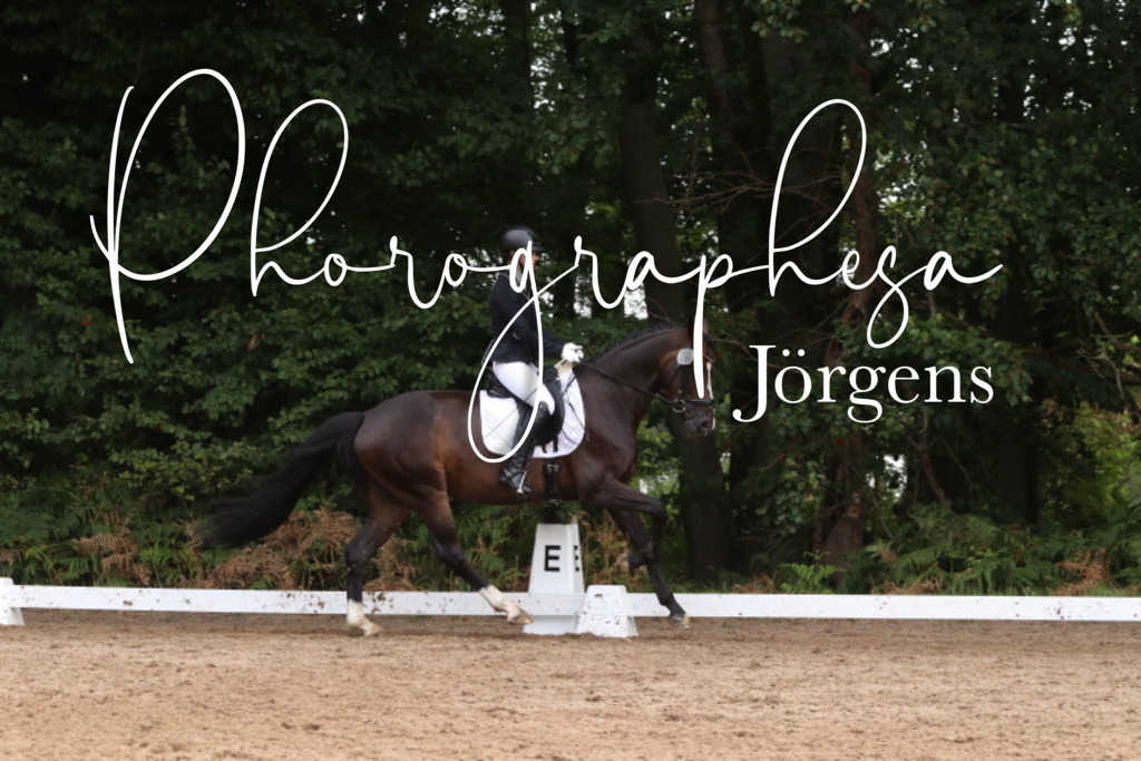 IMG_0186 | photographesa-joergens - Realisiert mit Pictrs.com