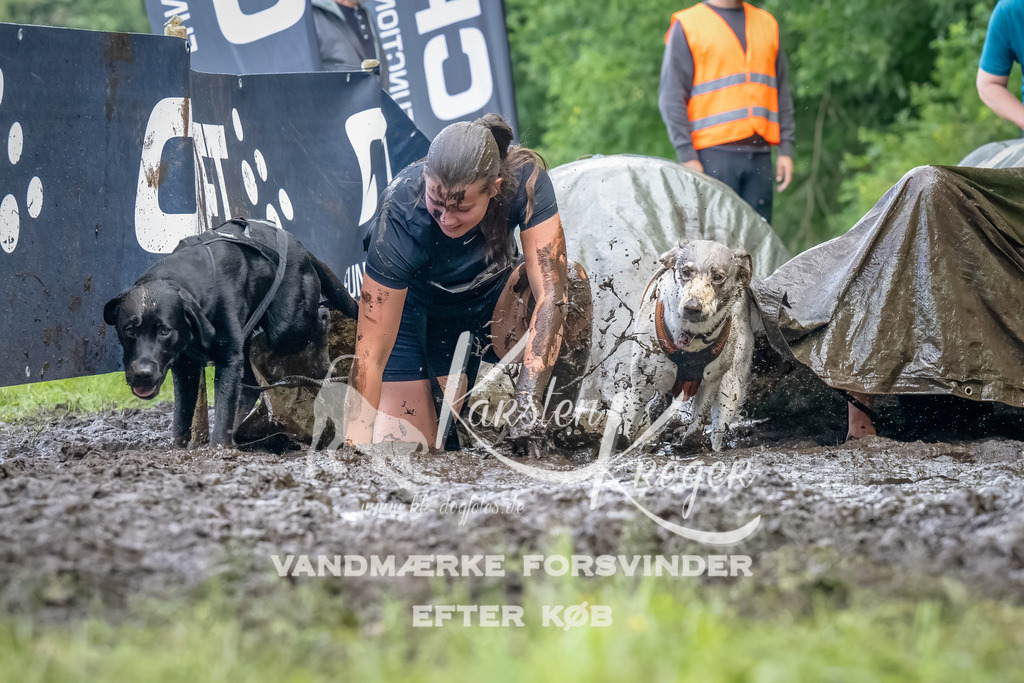 1151_ZZ94563-Bearbeitet | kk-dogfotos